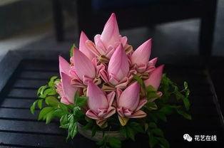 疊荷花視頻,視頻捕捉夏日美景瞬間